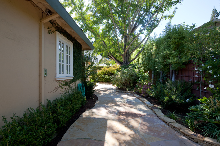 Backyard (B) picture - 265 Tennyson Ave, Palo Alto 94301