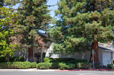 Mountain View Real Estate - 1474 Wildrose Way