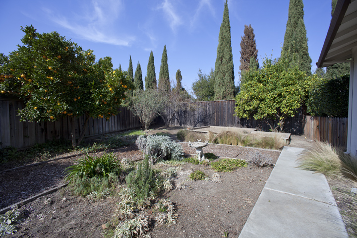 Side Yard picture -  r, Sunnyvale 94086