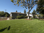 Side Yard
