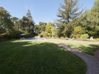 75 Crescent Dr, Palo Alto 94301 - Backyard (A)