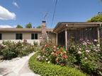 942 Heatherstone Way, Sunnyvale 94087 - Backyard (A)