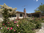 942 Heatherstone Way, Sunnyvale 94087 - Backyard (C)