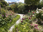 942 Heatherstone Way, Sunnyvale 94087 - Backyard (E)