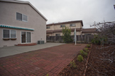 10577 Johansen Dr, Cupertino 95014 - Backyard (A)