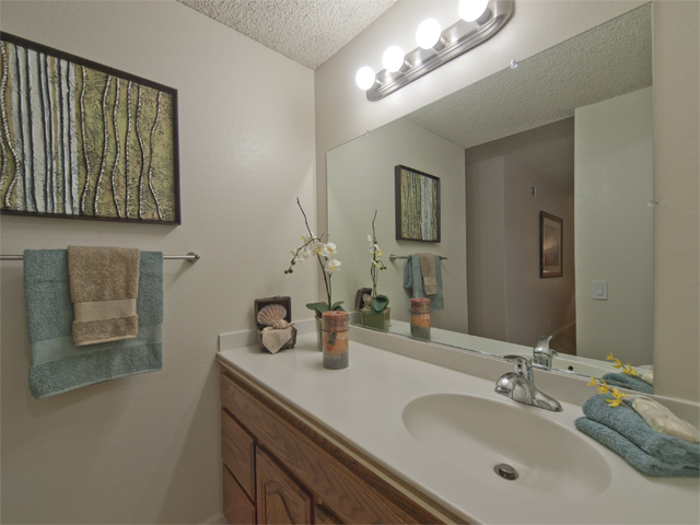 Master Bath (B) picture - 300 Mullet Ct, Foster City 94404