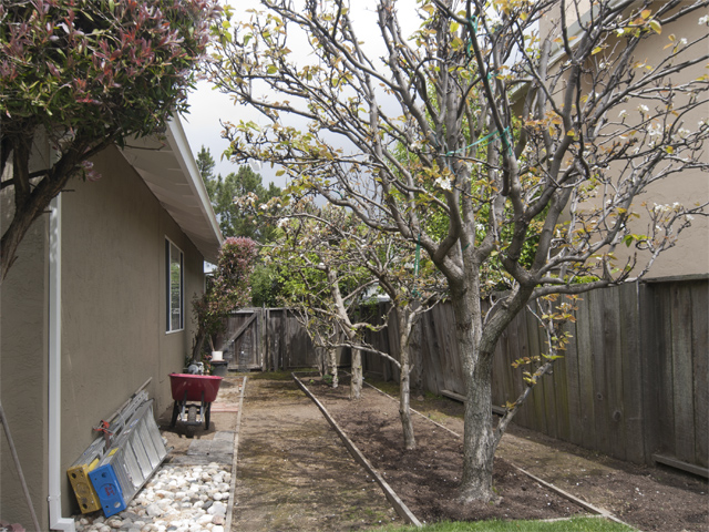 Side Yard (A) picture - 300 Mullet Ct, Foster City 94404