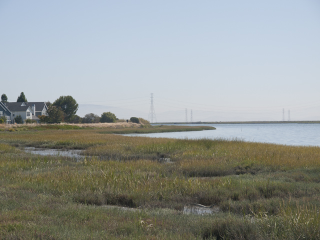 Nearby Baylands  picture - 18 Portofino Cir, Redwood Shores 94065
