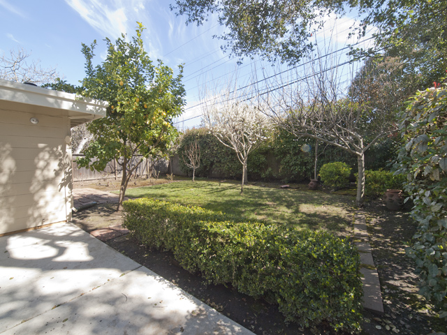 Backyard (A) Picture - 1032 Ringwood Ave, Menlo Park 94025 Backyard (A) picture - 1032 Ringwood Ave, Menlo Park 94025