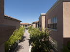 20500 Town Center Ln 265, Cupertino 95014 - Open Space View 
