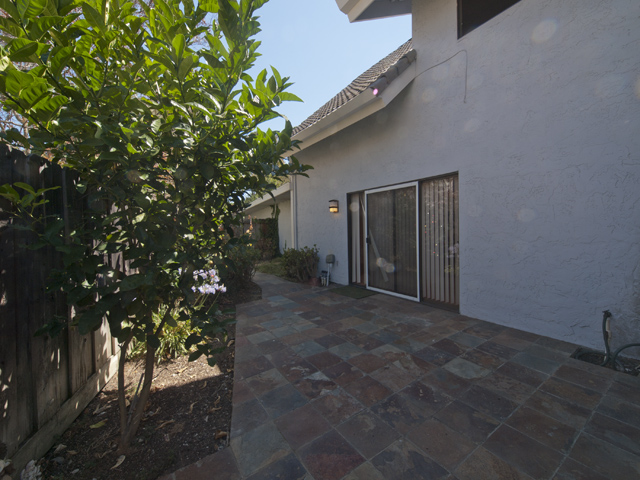 Backyard picture - 461 W Meadow, Palo Alto 94306