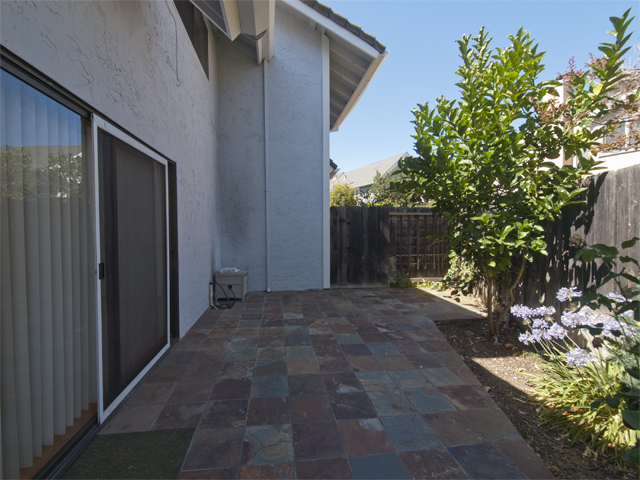 Backyard picture - 461 W Meadow, Palo Alto 94306