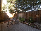 2116 Windrose Pl, Mountain View 94043 - Patio (A)