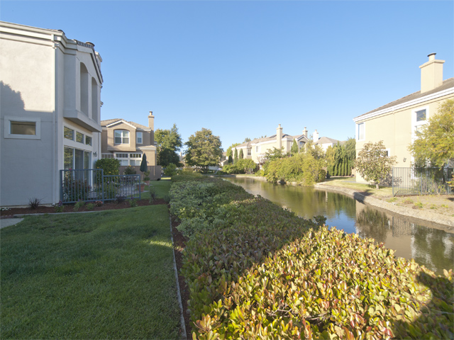 Back Yard (E) Picture - 810 Corriente Point Dr, Redwood Shores 94065 Back Yard (E) picture - 810 Corriente Point Dr, Redwood Shores 94065