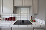 1103 Doyle Pl, Mountain View 94040 - Kitchen Stove (A)