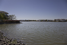Redwood Shores Real Estate - 401 Baltic Cir, Unit 429