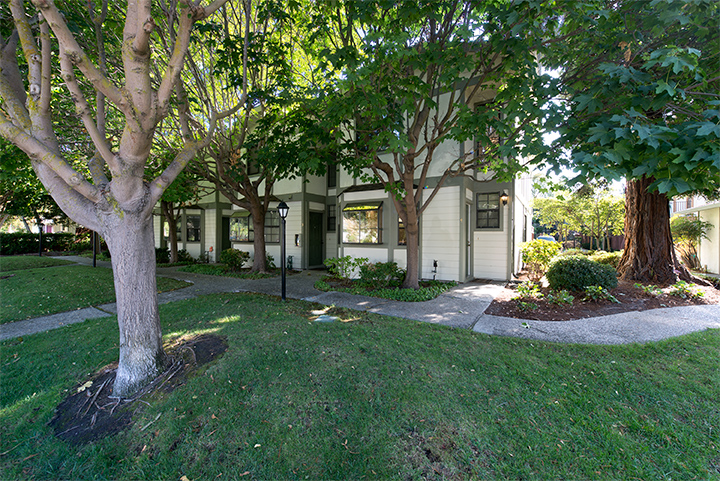 Evandale Ave 175 4 (B) picture - 175 Evandale Ave 4, Mountain View 94043