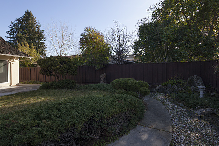 Backyard picture - 3138 Flowers Ln, Palo Alto 94306