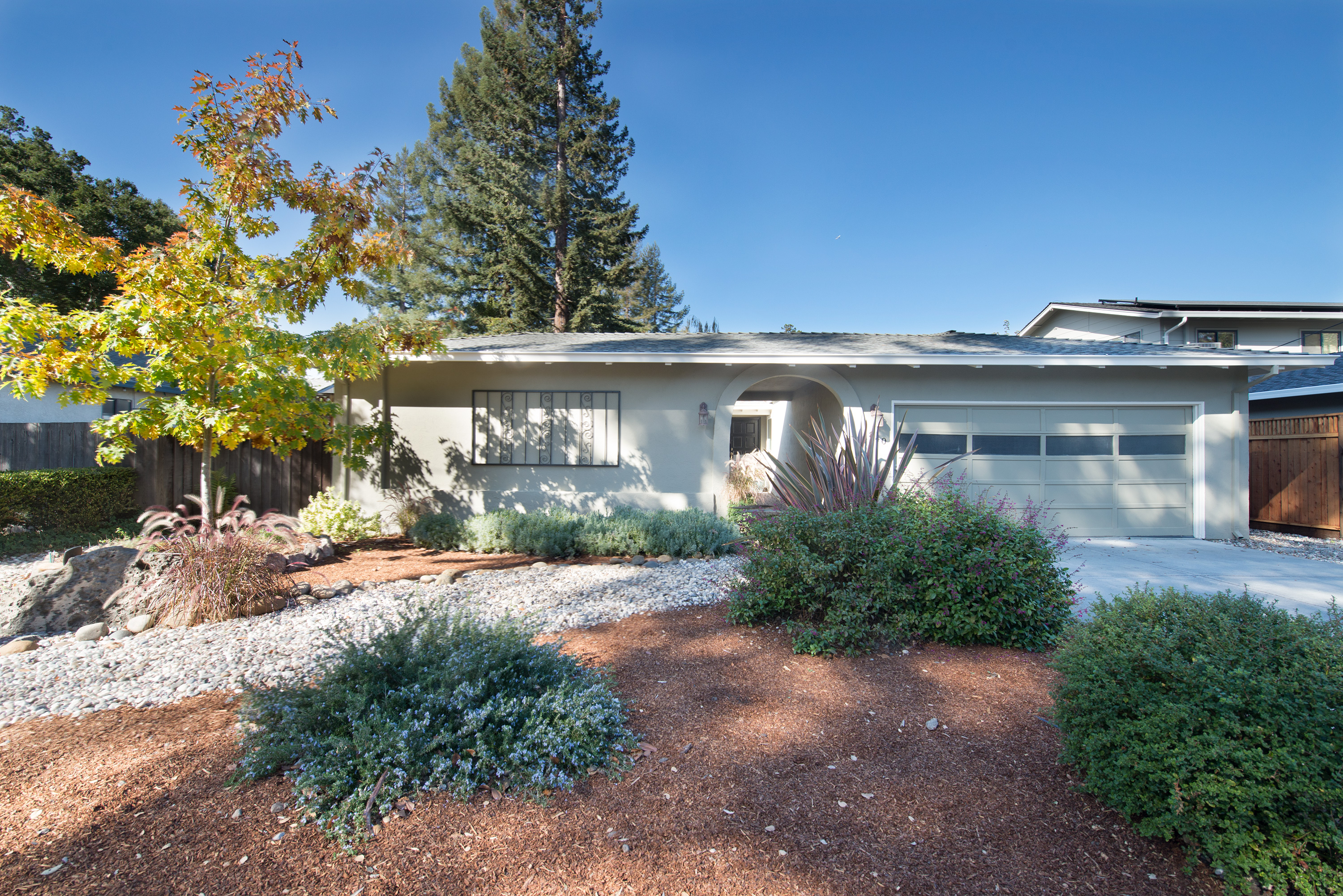 La Para Ave - Barron Park Neighborhood
