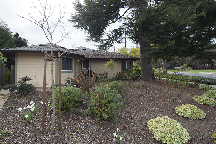 Side Yard (A) Picture - 1806 Mark Twain St, Palo Alto 94303 Side Yard (A) picture - 1806 Mark Twain St, Palo Alto 94303