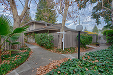 Cupertino Real Estate - 10584 White Fir Ct