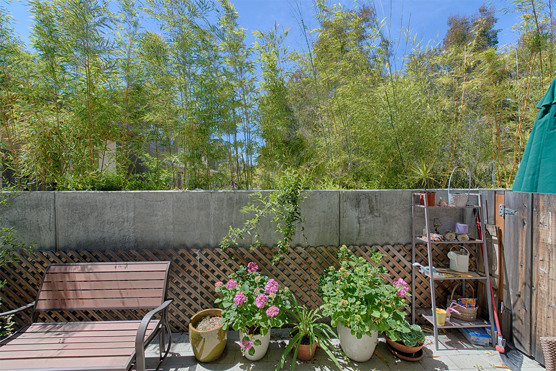 Patio picture - 860 Altaire Walk, Palo Alto 94303