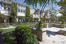 40207 antigua rose ter, Fremont