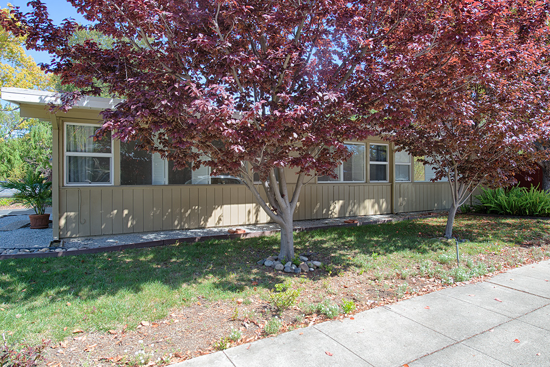 Side Yard picture - 381 Carolina Ln, Palo Alto 94306
