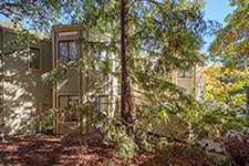 620 mariposa ave #3, Mountain View