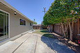 1705 Morgan St, Mountain View 94043 - Backyard (A)