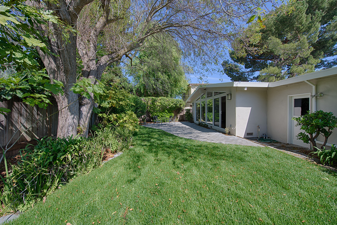 Backyard (A) picture - 3815 Ross Rd, Palo Alto 94303