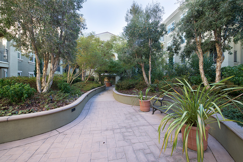 Courtyard (C) Picture - 600 S Abel St 223, Milpitas 95035 Courtyard (C) picture - 600 S Abel St 223, Milpitas 95035