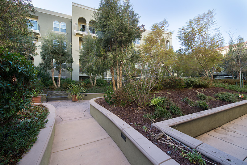 Courtyard (D) Picture - 600 S Abel St 223, Milpitas 95035 Courtyard (D) picture - 600 S Abel St 223, Milpitas 95035
