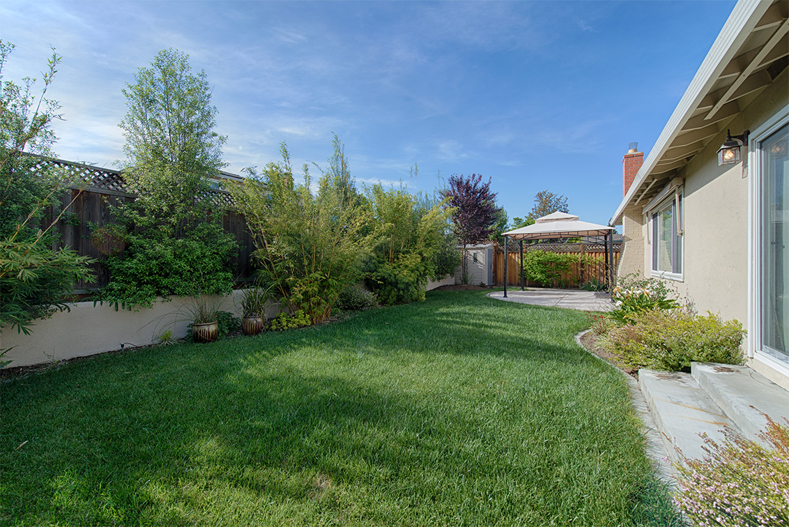 Backyard (A) picture - 651 Spruce Dr, Sunnyvale 94086