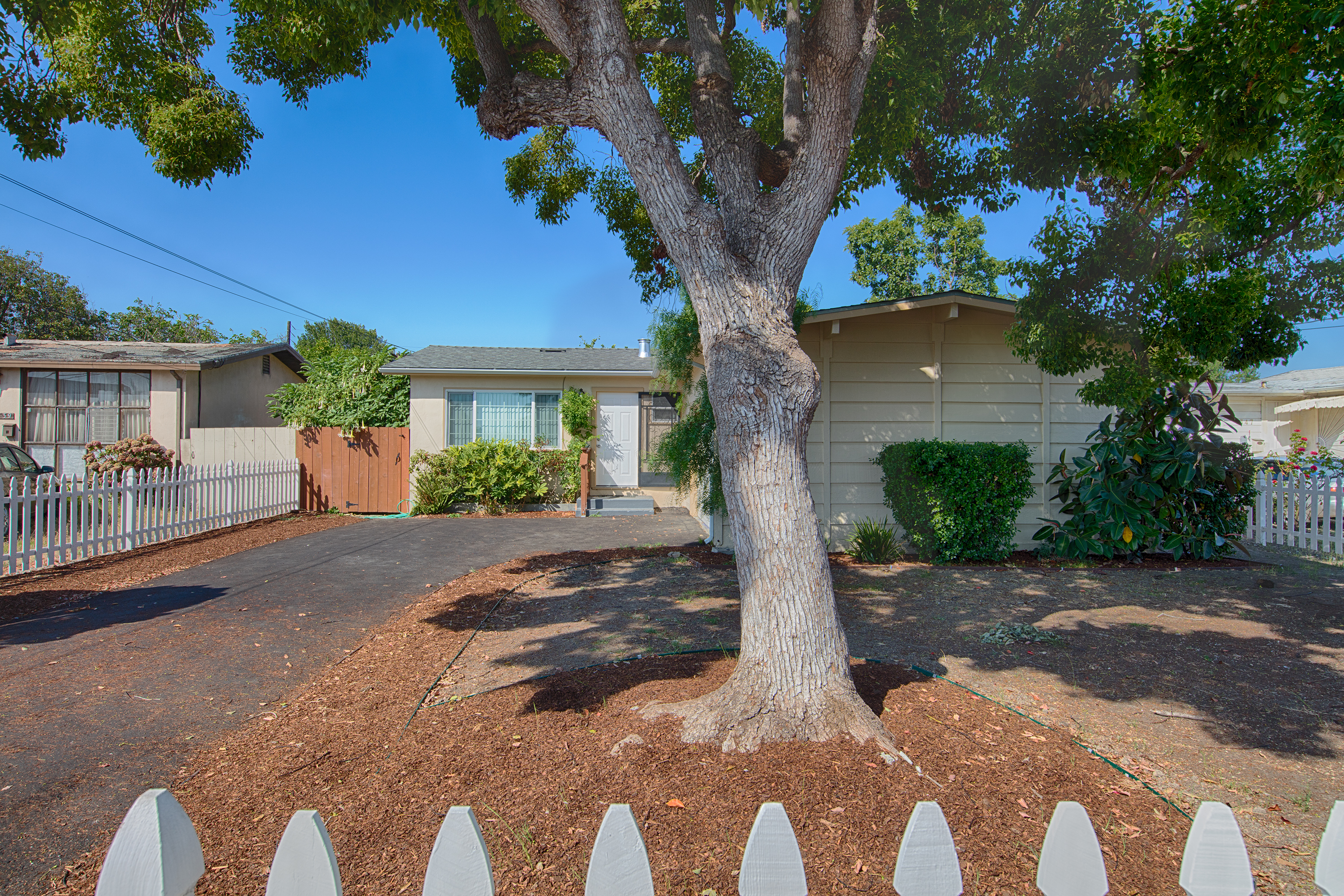 Camellia Dr - East Palo Alto