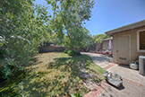 3204 Greer Rd, Palo Alto 94303 - Backyard (A)