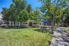 610 arcadia ter #202, Sunnyvale