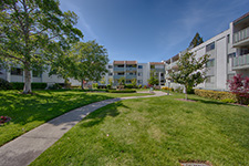400 ortega ave #208, Mountain View