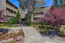 800 sea spray ln #211, Foster City
