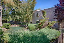 928 wright ave #1002, Mountain View