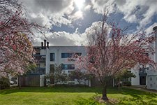 910 beach park blvd #100, Foster City