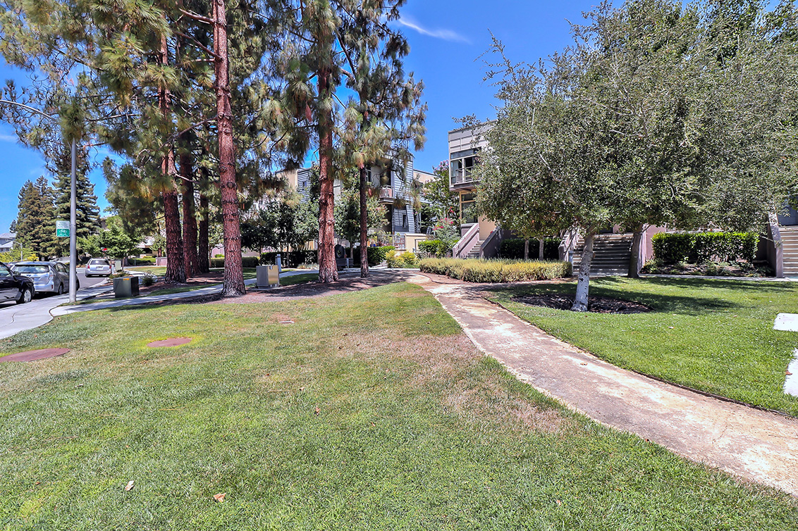 Common Area (A) Picture - 933 Curlew Ln, Palo Alto 94303 Common Area (A) picture - 933 Curlew Ln, Palo Alto 94303