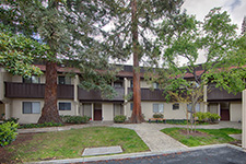 1001 e evelyn ter #114, Sunnyvale