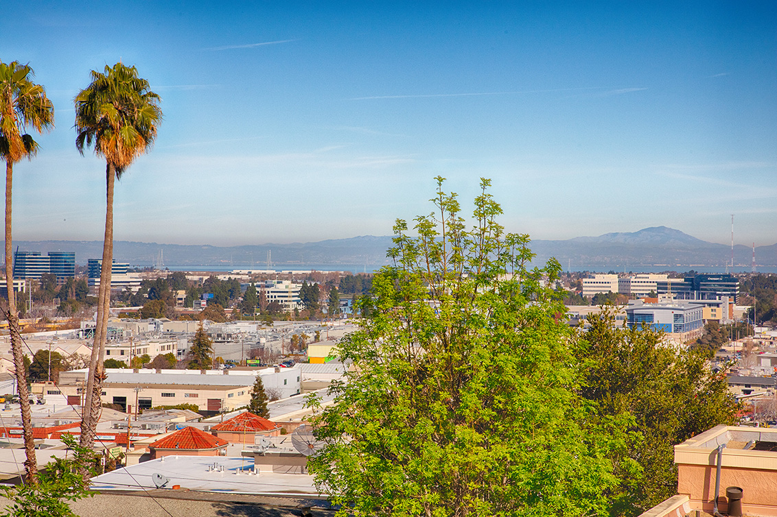View (C) picture - 2 Elm St 202, San Carlos 94070
