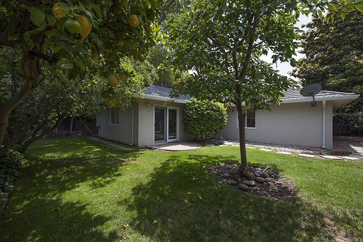Backyard (B) Picture - 554 Hilbar Ln, Palo Alto 94303 Backyard (B) picture - 554 Hilbar Ln, Palo Alto 94303