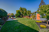 3283 Lindenoaks Dr, San Jose 95117 - Backyard (A)