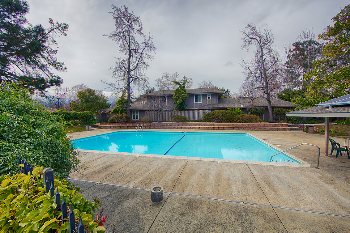 Swimming Pool (A) picture - 10572 White Fir Ct, Cupertino 95014