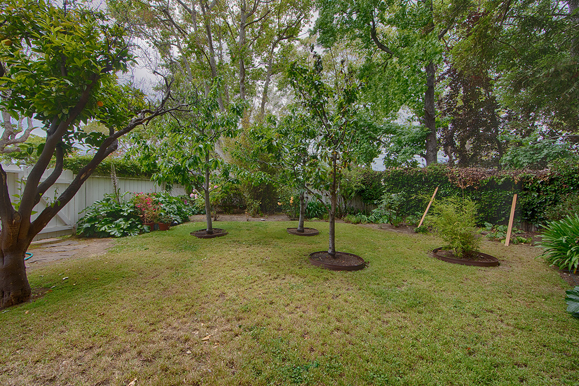 Mini Orchard (A) Picture - 704 Winchester Dr, Burlingame 94010 Mini Orchard (A) picture - 704 Winchester Dr, Burlingame 94010