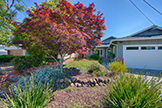136 Lyndhurst Ave, San Carlos 94070 - Lyndhurst Ave 136 (B)