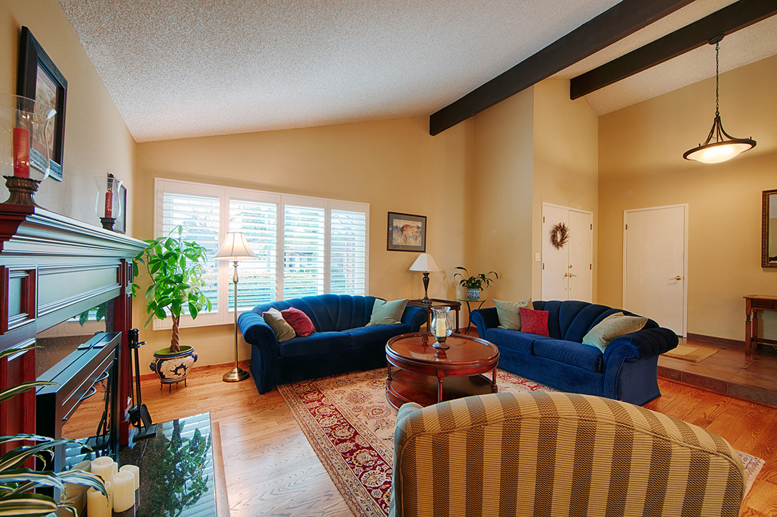 Living Room (B) picture - 224 Viento Dr, Fremont 94536